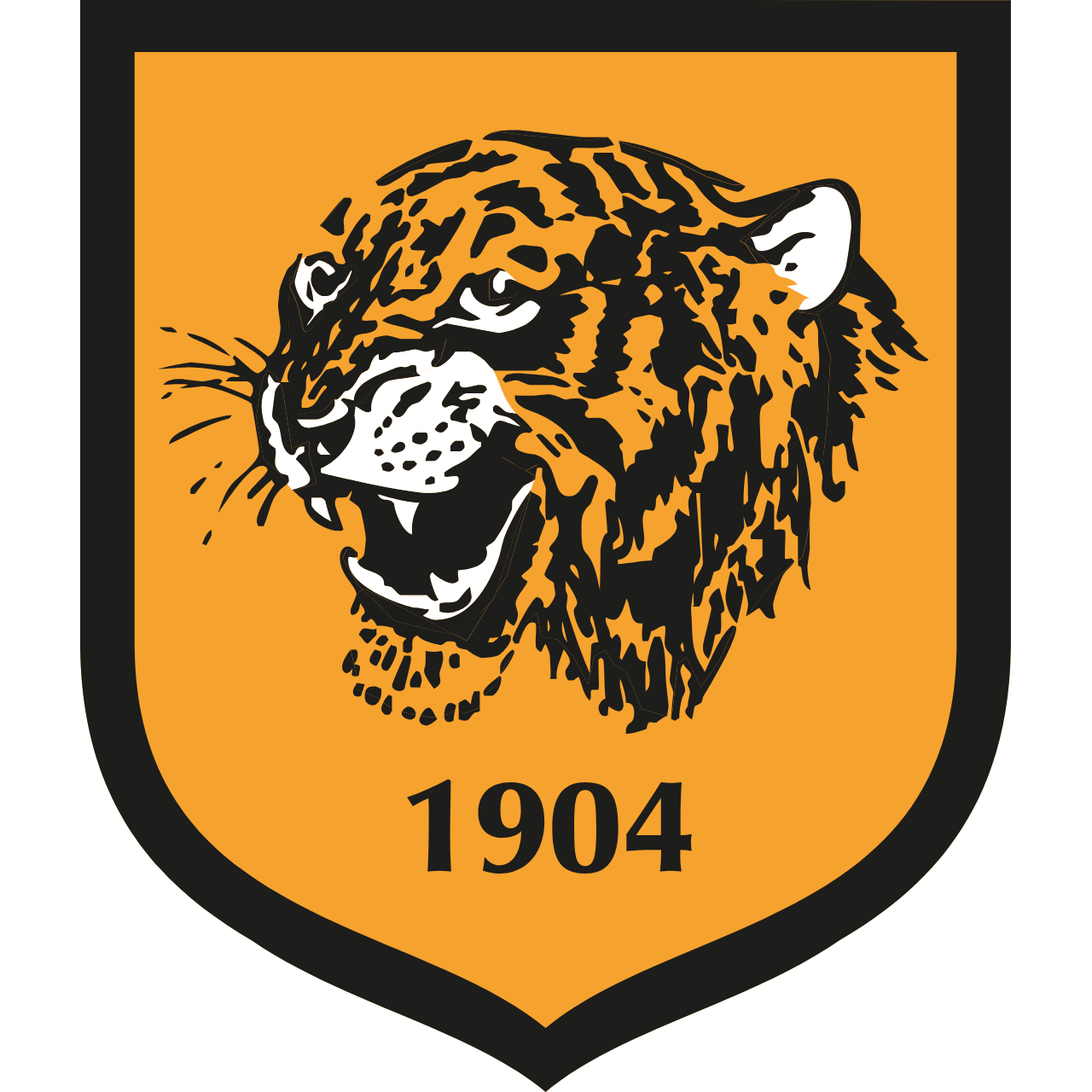 Hull City
